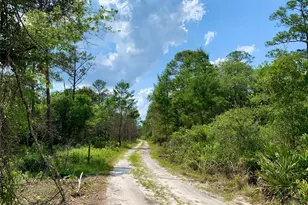 41722 Poinciana St, Eustis, FL 32736 - Photo 35