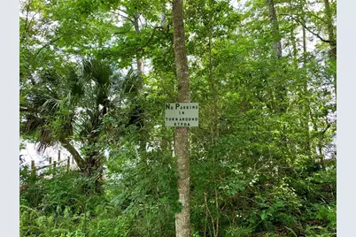 41722 Poinciana Stream, Eustis, FL 32736 - Photo 37