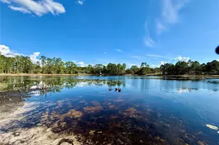 41722 Poinciana St, Eustis, FL 32736 - Photo 35