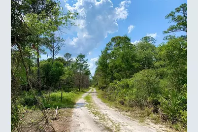 41722 Poinciana Street, Eustis, FL 32736 - Photo 39
