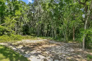 1025 Cr 452A, Lake Panasoffkee, FL 33538 - Photo 39