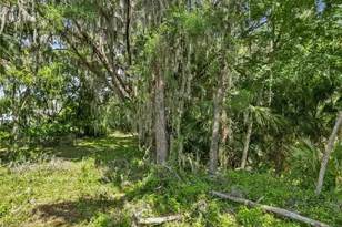 1025 Cr 452A, Lake Panasoffkee, FL 33538 - Photo 41
