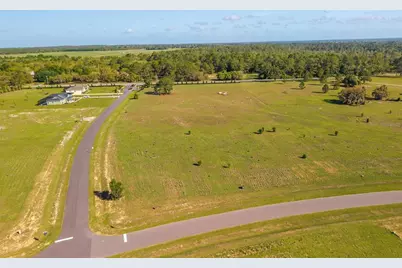 38529 Wooded Meadow Drive, Umatilla, FL 32784 - Photo 7