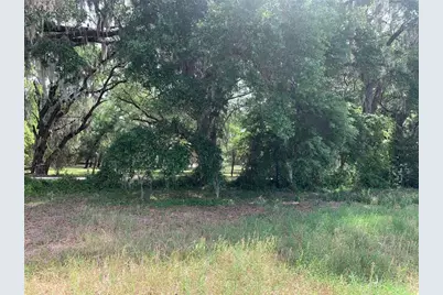 727, Webster, FL 33597 - Photo 5