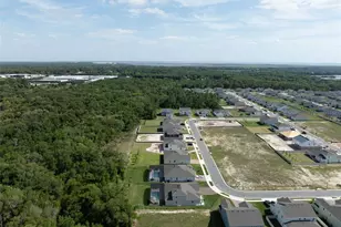 5897 Sierra Crown St, Mount Dora, FL 32757 - Photo 73