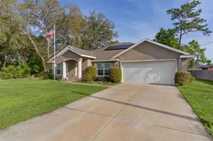 13 Malauka Radial Run, Ocklawaha, FL 32179 - Photo 29