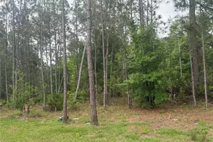 6505 Oil Well Rd, Clermont, FL 34714 - Photo 27