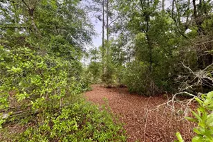 20825 County Rd 44A, Eustis, FL 32736 - Photo 49