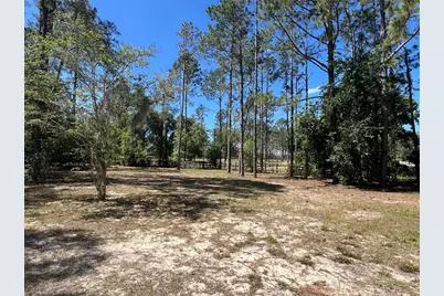 20825 County Road 44A, Eustis, FL 32736 - Photo 71
