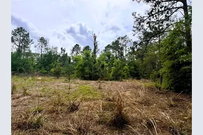 20825 County Road 44A, Eustis, FL 32736 - Photo 65