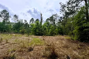 20825 County Rd 44A, Eustis, FL 32736 - Photo 65