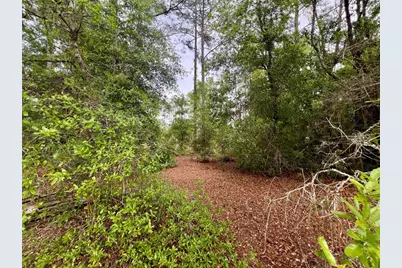 20825 County Road 44A, Eustis, FL 32736 - Photo 47