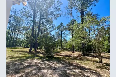 20825 County Road 44A, Eustis, FL 32736 - Photo 69