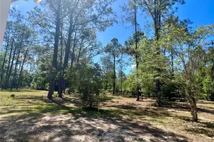 20825 County Rd 44A, Eustis, FL 32736 - Photo 69