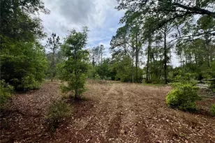 20825 County Rd 44A, Eustis, FL 32736 - Photo 67