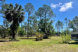 20825 County Rd 44A, Eustis, FL 32736 - Photo 73