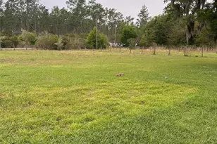 7751 NE 192 Pl, Citra, FL 32113 - Photo 19