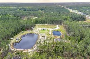 12655 NE 215 St, Fort Mc Coy, FL 32134 - Photo 41