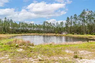 12655 NE 215 St, Fort Mc Coy, FL 32134 - Photo 53