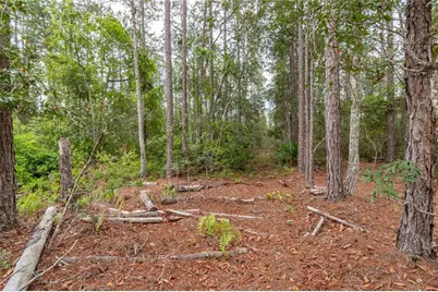 12655 NE 215th Street, Fort Mc Coy, FL 32134 - Photo 31