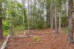 12655 NE 215 St, Fort Mc Coy, FL 32134 - Photo 31