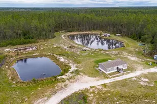 12655 NE 215 St, Fort Mc Coy, FL 32134 - Photo 51