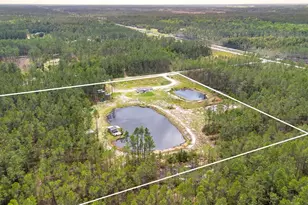 12655 NE 215 St, Fort Mc Coy, FL 32134 - Photo 43