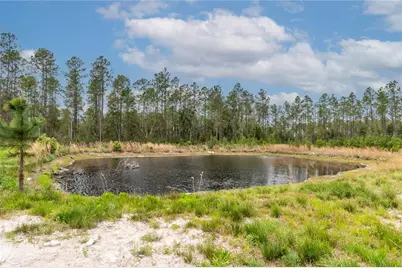 12655 NE 215th Street, Fort Mc Coy, FL 32134 - Photo 31