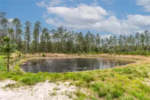 12655 NE 215 St, Fort Mc Coy, FL 32134 - Photo 31