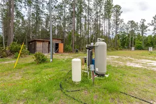 12655 NE 215 St, Fort Mc Coy, FL 32134 - Photo 33