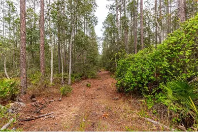 12655 NE 215th Street, Fort Mc Coy, FL 32134 - Photo 33
