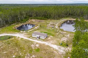 12655 NE 215 St, Fort Mc Coy, FL 32134 - Photo 47