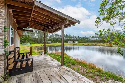 12655 NE 215th Street, Fort Mc Coy, FL 32134 - Photo 27