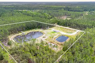 12655 NE 215 St, Fort Mc Coy, FL 32134 - Photo 39