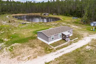 12655 NE 215 St, Fort Mc Coy, FL 32134 - Photo 47