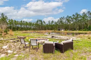 12655 NE 215 St, Fort Mc Coy, FL 32134 - Photo 35