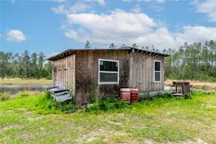 12655 NE 215 St, Fort Mc Coy, FL 32134 - Photo 31