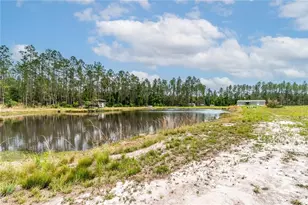 12655 NE 215 St, Fort Mc Coy, FL 32134 - Photo 53