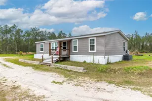12655 NE 215 St, Fort Mc Coy, FL 32134 - Photo 59