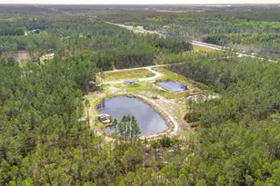 12655 NE 215 St, Fort Mc Coy, FL 32134 - Photo 45