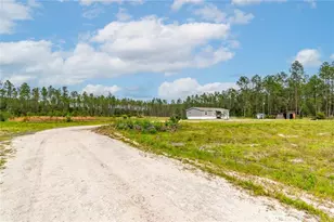 12655 NE 215 St, Fort Mc Coy, FL 32134 - Photo 59