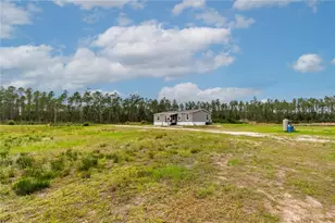 12655 NE 215 St, Fort Mc Coy, FL 32134 - Photo 37