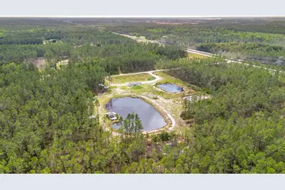 12655 NE 215th Street, Fort Mc Coy, FL 32134 - Photo 1
