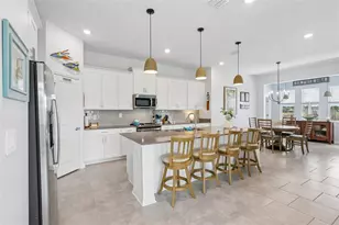 6049 Claystone Wy, Mount Dora, FL 32757 - Photo 13