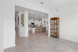6049 Claystone Wy, Mount Dora, FL 32757 - Photo 19