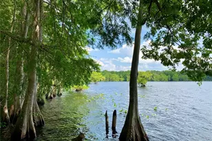 30165 W Bluebell Ave, Eustis, FL 32736 - Photo 45