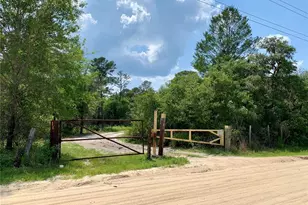 30165 W Bluebell Ave, Eustis, FL 32736 - Photo 41