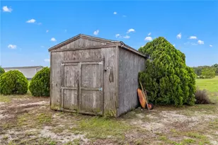 1371 NW 12th Ln, Lake Panasoffkee, FL 33538 - Photo 35