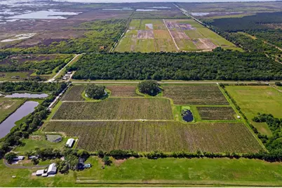 7453 Jones Avenue, Mount Dora, FL 32757 - Photo 7