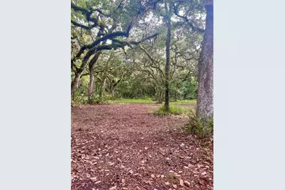2260 Panorama Drive, Chuluota, FL 32766 - Photo 61